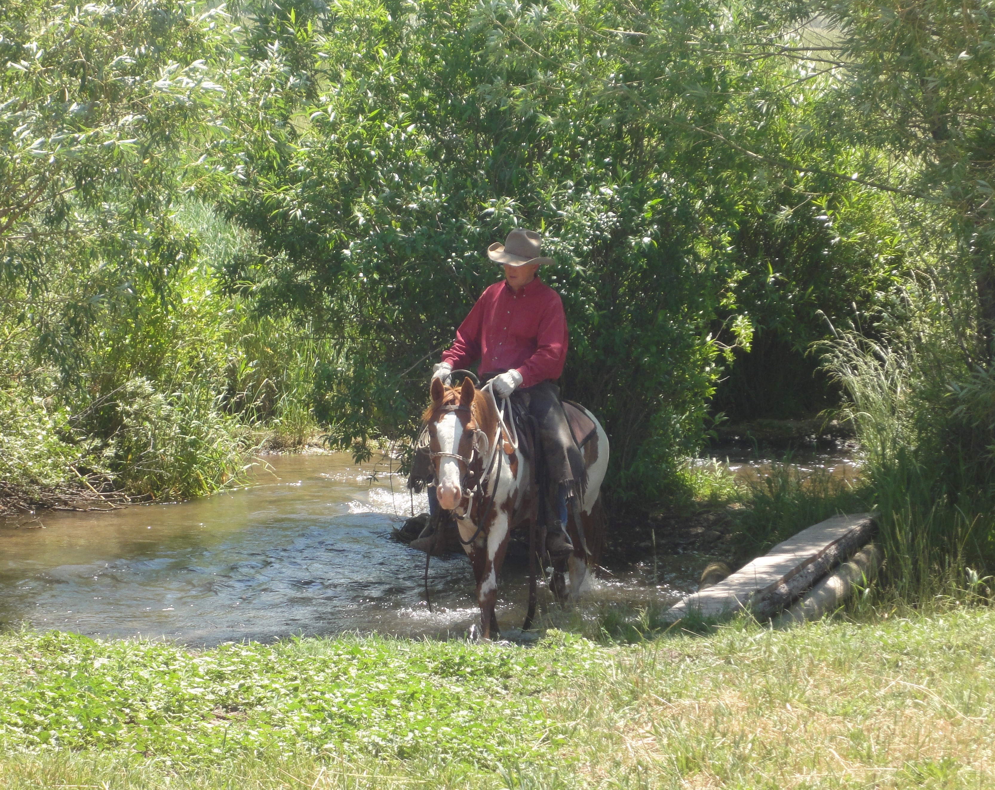 DSC08355 - Version 2 - Mario Johnson Horses